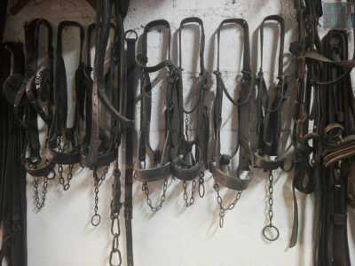 Ma non � finita qui: anche gli attacchi con cui veniva legato il cavallo al carro saranno al centro dell�evento. E c�� un perch�. Ce lo spiega l�ex agricoltore 86enne Michele Lastella, che incontriamo nella sua abitazione, l� dove conserva e colleziona collari e finimenti utili a legare gli animali